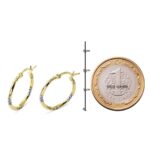 Toplu Halka 2,0 cm Çaplı Altın Küpe - Görsel 6
