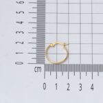14 Ayar 2 cm. Çaplı Klasik Halka Altın Küpe - Görsel 6
