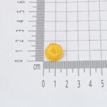 Çeyrek Reşat Altınlı 22 Ayar Klipsli Küpe - Görsel 6