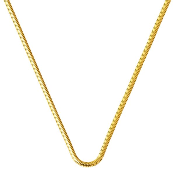 Altın Balık Sırtı Kolye 14 Ayar 60 cm.