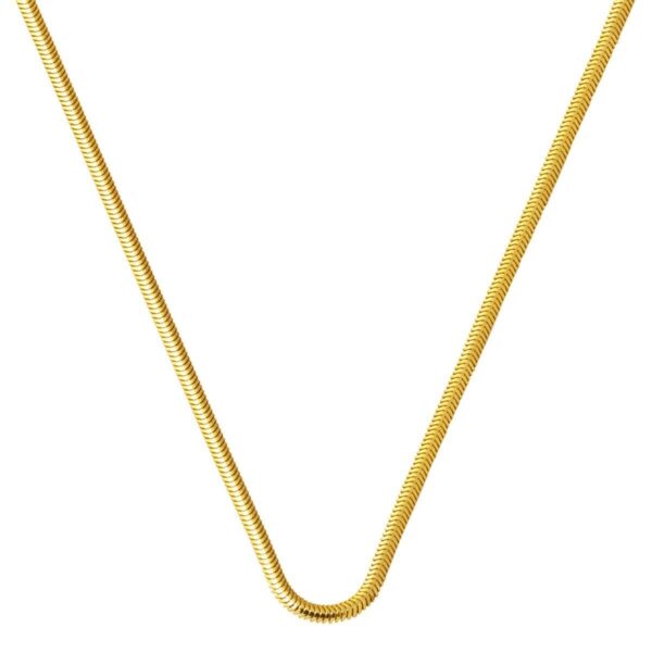 14 Ayar Altın Balıksırtı Zincir - 45cm