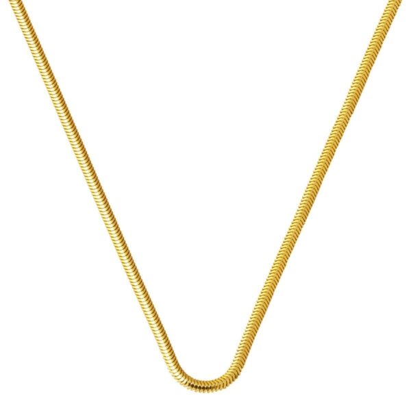 45 cm. 14 Ayar Altın Balıksırtı Zincir