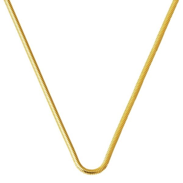 Balıksırtı 14 Ayar Altın Zincir 50 cm.