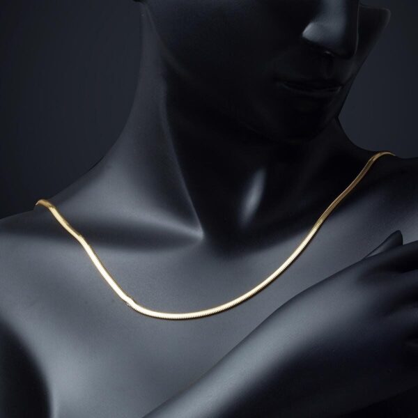 60 cm. 22 Ayar Altın Balıksırtı Zincir
