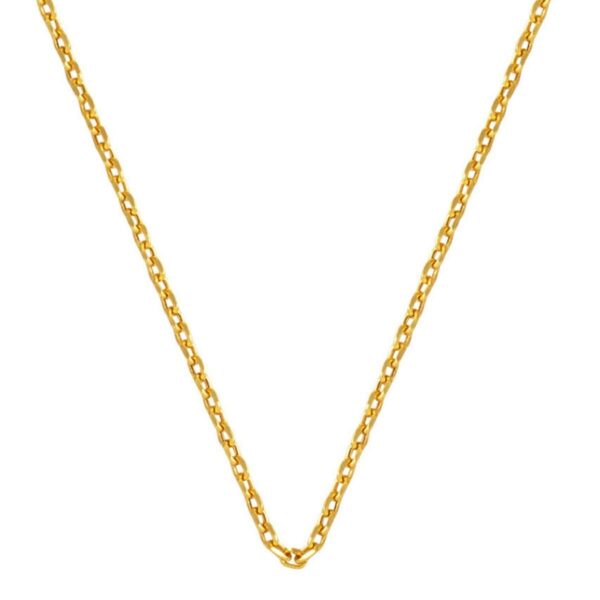 Force 14 Ayar Altın Zincir Kolye (2 mm Enli) 45 cm.