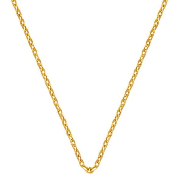 Force 14 Ayar Altın Zincir Kolye (2 mm Enli) 55 cm.